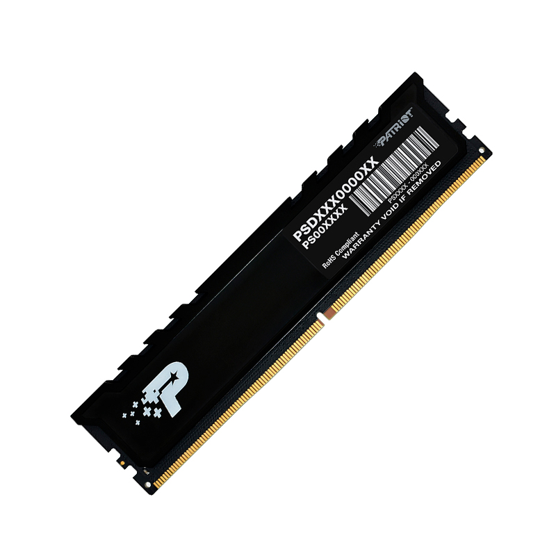 MEM RAM 16G PA SL 5.60GHZ DDR5