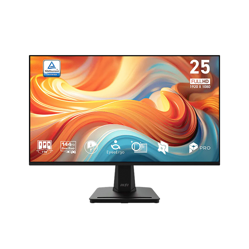 MON 25 MS PRO MP251 E14L FHD