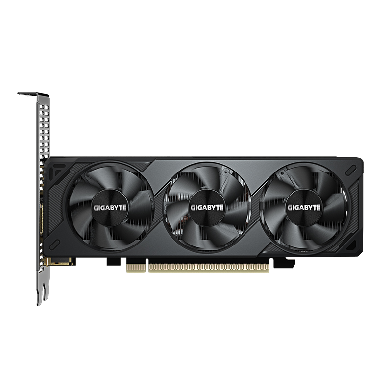 VGA 8G GB RTX5050 LP OC GDDR6