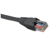 Nexxt Patch Cord CAT6 3FT. Gr