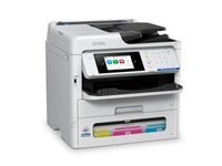 Epson Workforce - EM-C800